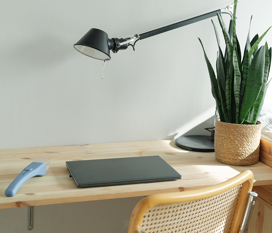 LIV Insektenfänger im Büro