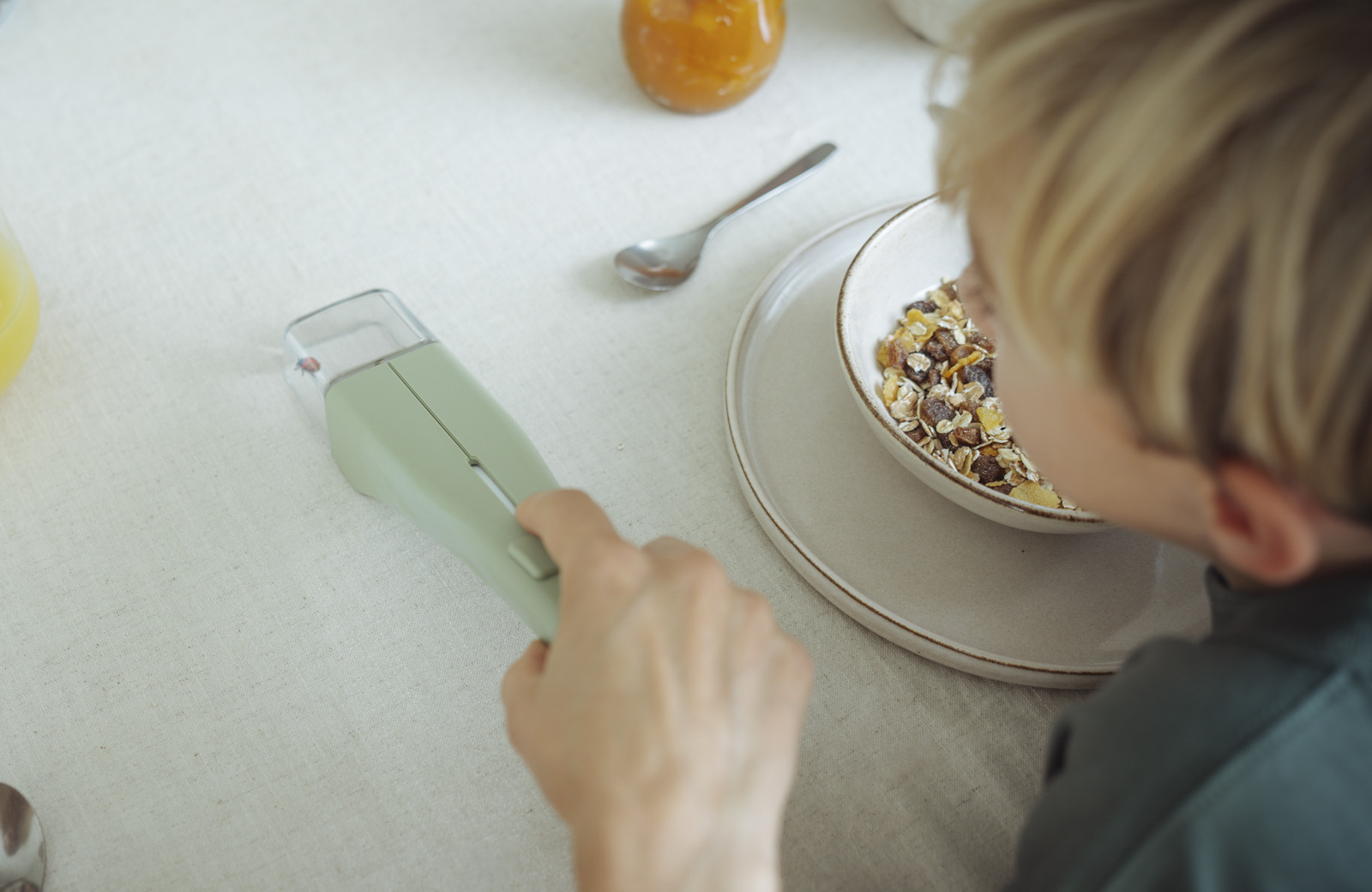 Natürliche Insektenabwehr: Tipps & LIV Insektenfänger – ohne Töten