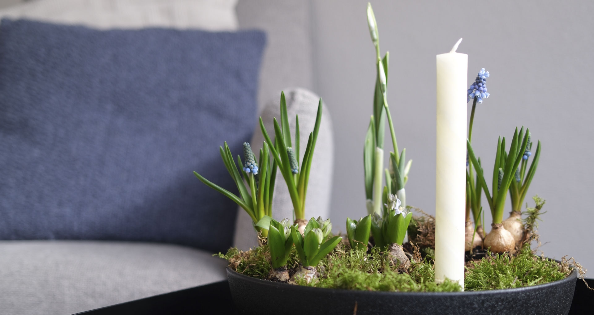 Frühlingsstimmung für zu Hause – ein einfaches DIY mit Frühblühern
