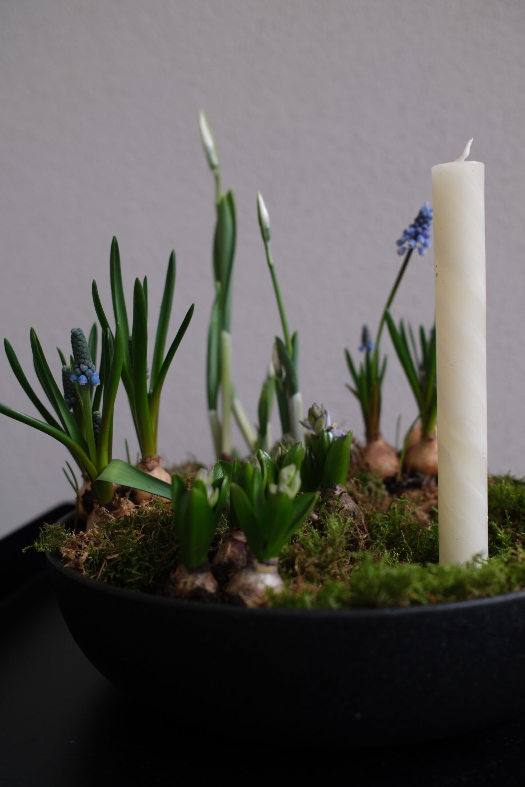 DIY Frühlingsschale für dein Wohnzimmer