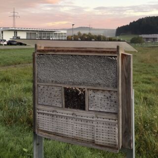 Winterschlaf im Neher Insektenhotel ❄️Seit über 50 Jahren möchten wir mit unseren Produkten den Menschen Ruhe und Schutz von Insekten bieten. Aber wir möchten auch die Insekten schützen– als wichtigen Teil unserer vielfältigen Natur.💚 Deshalb haben wir 2019 an unserem Firmenstandort eine 8.000 qm große Insektenschutzwiese angelegt. Ein Jahr nach der Anlage der Wiese entstand auch die Idee, ein Insektenhotel in unserer Werkstatt zu bauen.Wer wohnt hier? 🐝In unserem Insektenhotel wohnen unterschiedliche Insekten. Meist sind es Wildbienen oder Solitärwespen. Sie verbringen hier oft viele Monate, bis hin zu zwei Jahren, von der Larve bis zum fertigen Insekt. Was ist gerade im Winter wichtig? ❄️ Ein Insektenhotel will gut platziert sein! Es soll an einen sonnigen, windgeschützten Ort mit Ausrichtung nach Süden sein – so bleibt es trocken, warm und schimmelfrei. Ein leicht nach vorne geneigtes Hotel lässt Regenwasser ablaufen. Wichtig: Im Winter soll das Hote draußen bleiben! In geschützen und zu warmen Orten wie Garage oder Gartenhäuschen kann es passieren, dass es zu einer zu schnellen Entwicklung und einem zu frühen Schlüpfen der Wildbienen kommt oder Insekten zu früh aus der Winterstarre erwachen. Das fehlende Nahrungsangebot würde dann zum sicheren Tod der Insekten führen.🐝Übrigens es ist schlicht das ganze Jahr über möglich, ein Insektenhotel aufzustellen. Im Winter benötigen einige Insekten einen Unterschlupf für ihren Winterschlaf und im Sommer ein "Zuhause", in dem sie den Nachwuchs aufziehen können. Macht ihr mit?#livbyneher #neher #neherinsektenschutz #insektenschutz #insektenfreunde #insektenretter #insektenliebe #artenvielfalt #insektenhotel #nisthilfe #neherinsektenschutzwiese #blühwiese