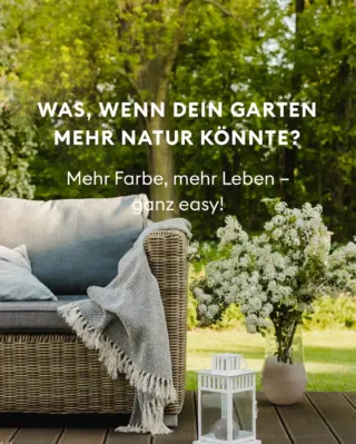 🌿 Was, wenn dein Garten mehr Natur könnte?
Mehr Blüten, mehr Leben, mehr Summen – und das ist einfacher, als du denkst.  Lege jetzt eine Blumenwiese an – der perfekte Zeitpunkt ist jetzt im Frühling. So geht’s:  Boden prüfen – sandig? Super! Zu nährstoffreich? Mit Sand abmagern.
Vorbereiten – Gras entfernen, umgraben, Boden fein und locker rechen.
Aussäen – flach ausbringen, am besten bei Windstille, mit Regiosaatgut.
Andrücken & gießen – für guten Bodenkontakt und gleichmäßige Keimung.
Nach 10 Wochen mähen – das entfernt Unkraut und fördert die Blumen.  Tipp: Achte auf heimisches Saatgut aus dem Fachhandel, nicht aus dem Baumarkt – so unterstützt du echte Artenvielfalt. 🌿  Auch wenn du ein kleines Beet oder einen Blumenkübel mit bunten Blumenmischung bepflanzen willst, machst du Insekten eine große Freude damit. 
Für mehr Tipps rund um einen schönen und insektenfreundlichen Garten: Folge uns.  #livbyneher #neher #neherinsektenschutz #insektenschutz #blumenwiese #gartenliebe #insektenfreundlich #nachhaltiggärtnern #regiosaatgut #artenvielfalt #wildblumen #naturgarten #frühlingserwachen #bienenfreundlich #mehrnaturimblick