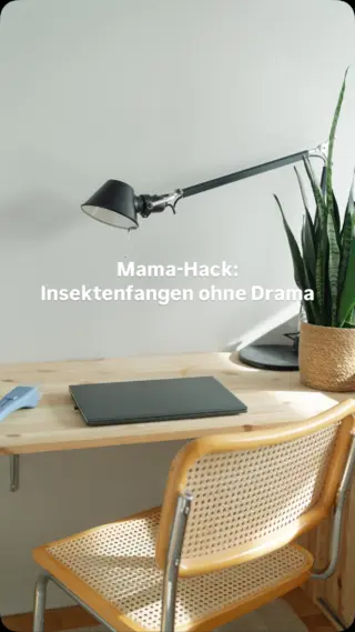 Die Situation kennen viele Mamas:
Im Kinderzimmer ist es gerade ruhig, vielleicht wird gelesen oder gespielt – und dann fliegt plötzlich eine Wespe rein. 😩  Früher bedeutete das oft Hektik, panisches Wedeln mit Kissen oder der Versuch, irgendwie die Insekten loszuwerden – am besten, ohne dass das Kind noch mehr Angst bekommt.  Mit dem richtigen Tool geht das heute viel entspannter: Unser Insektenfänger entfernt Wespen, Spinnen und andere ungebetene Gäste schnell, sicher und ganz ohne Drama – ganz sanft und ohne Ekelmoment.
Und danach bleibt Zeit für die schönen Momente.
Fürs Lesen. Fürs Lachen. Fürs Kuscheln. 🧡📚  ➡️ Jetzt entdecken – und den Sommer ganz entspannt genießen. Link in der Bio!  #livbyneher #neherinsektenschutz ##insektenschutz #insektenfrei 
#mamahacks #sommermitkindern #insektenfänger #wespen #familienalltag #elterntipps  #familienleben #mamatipps #gamechangers #sommerzeit