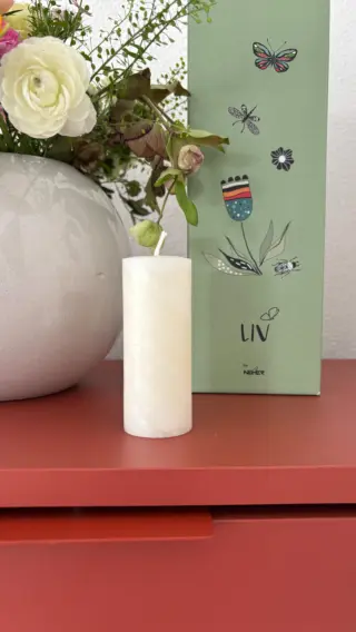 Wir feiern mit dir den ersten Geburtstag von LIV und schenken dir bei einer Bestellung im Shop eine schöne Bienenwachkerze. 🌿Als Dankeschön, dass du hier bist! 💚
Die Aktion ist nur noch heute (04.05.) gültig und solange der Vorrat reicht!  #livbyneher #neherinsektenschutz #geburtsgeschenk #geburtstagsaktion #communitylove #communitysupport #danke #dankesagen