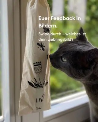Ihr seid der Wahnsinn! 💚💚💚Vor ein paar Tagen hab ich euch gefragt, ob ihr mir Bilder von LIV in eurem Zuhause schicken könnt – und ich hab so viele tolle Aufnahmen bekommen! Ich freu mich riesig und hab ein paar rausgepickt, die ich mit euch teilen möchte.Swipe dich durch und sag mir: Welches Bild ist dein Favorit? #livbyneher #neherinsektenschutz #insektenfänger #insektenschutz #wohlfühlmomente #zuhausewohlfühlen #communityliebe