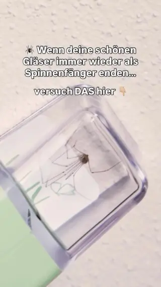 Du willst eigentlich nur ein stilles Wasser und greifst reflexartig nach dem nächsten Glas, weil schon wieder eine Spinne im Flur sitzt. 🕷️Willkommen im Mama-Alltag im Sommer: zwischen Hausaufgaben, Wäsche und „Mamaaaa, da ist was an der Wand!“ wird jedes gute Glas zur Notlösung.Aber mal ehrlich: Gläser waren nicht dafür gedacht, um achtbeinige Besucher aufzufangen – und du natürlich auch nicht.Die bessere Lösung? Ein Tool, das genau dafür gemacht ist: hygienisch, sicher, tierfreundlich – und garantiert nicht dein Lieblingsglas.So bleiben die Nerven ruhig, die Hände sauber und die Spinne lebt weiter (nur eben draußen).🌿 Hol dir jetzt den LIV Insektenfänger und mach Schluss mit Küchenakrobatik.#livbyneher #neherinsektenschutz #familienleben #insektenimhaus #mamaalltag #nachhaltigleben #insektenschutz
