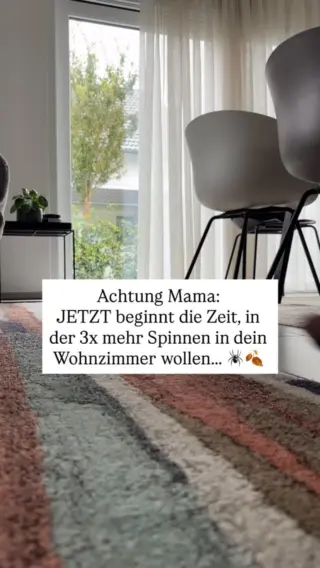 Du hast die ersten Kürbisse aufgestellt, die Lichterkette hängt, und es riecht nach Zimt und frischem Kaffee. 🍂✨Aber weißt du, wer diese gemütliche Atmosphäre genauso feiert wie du?Spinnen. Und zwar JETZT.Sobald es draußen kälter wird, suchen sie sich warme, geschützte Ecken – und deine liebevoll dekorierte Fensterbank ist für sie der Jackpot.Gut, dass es dafür kleine Helfer wie unseren LIV gibt, mit denen du die ungebetenen Gäste einfach wieder raus befördern kannst.Und jetzt verrat mal: Welche Herbstdeko steht bei dir schon? Kürbis oder Lichterkette zuerst? 🎃💬#livbyneher #neherinsektenschutz #familienleben #insektenimhaus #mamaalltag #nachhaltigleben #insektenschutz #mamatipps #mamaseinistschön #herbstdekoration #herbstdeko