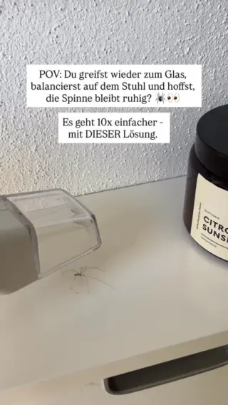 Und zwar so👇🏼Du kennst das Spiel: Spinne entdeckt.Du greifst zum Glas, suchst hektisch nach einem passenden Blatt Papier, balancierst auf dem Hocker und hoffst, dass das Tier nicht in Richtung deiner Kürbisdeko rennt.Und während du versuchst, die Ruhe selbst zu sein, läuft innerlich ein Mix aus Panik, Ekel und „Bitte, bitte fall nicht runter“.Aber ehrlich: Es geht auch einfacher.10x einfacher. Mit unserem LIV Insektenfänger.Kennst du noch nicht? Dann klick jetzt auf den Link in unserer Bio.#livbyneher #neherinsektenschutz #familienleben #insektenimhaus #mamaalltag #nachhaltigleben #insektenschutz #mamatipps