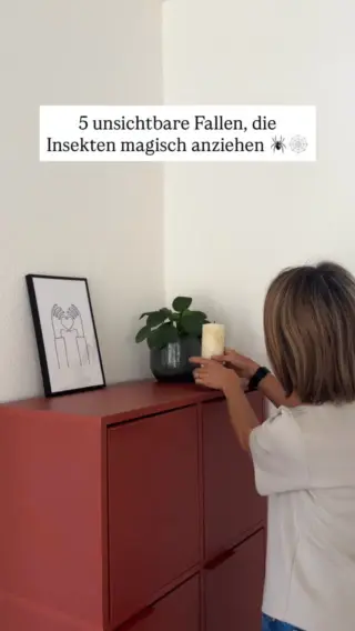 Du fragst dich, warum ständig etwas krabbelt oder fliegt? 👀Diese 5 unsichtbaren Fallen machen dein Zuhause zum Insekten-Hotspot – ohne dass du’s merkst.1️⃣ Offene Fenster ohne FliegengitterKlingt harmlos – ist aber die Haupt-Einflugschneise für Mücken, Fliegen & Co.2️⃣ Feuchte PutzlappenSie wirken wie Mini-Oasen für Insekten. Besonders, wenn sie dauerhaft in der Küche hängen.3️⃣ Offenes Obst in der SchaleEin echtes Buffet für Fruchtfliegen – vor allem bei warmen Temperaturen.4️⃣ Warme Nischen & ungenutzte EckenSpinnen lieben ruhige Plätze. Und genau da bauen sie still und heimlich ihr Zuhause.5️⃣ Duftsprays statt natürlicher MittelViele künstliche Düfte ziehen Insekten eher an – besser: Lavendel, Minze oder Zitrone.Speicher dir die Liste, damit du deinen Anti-Insektenplan immer bei dir hast.#livbyneher #neherinsektenschutz #familienleben #insektenimhaus #mamaalltag #nachhaltigleben #insektenschutz #mamatipps