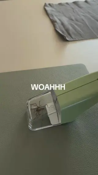 So einfach war’s noch nie ↓Als Mama willst du keine langen Aktionen und keine Staubsauger-Manöver.Du willst etwas, das schnell geht, funktioniert und niemandem weh tut.Genau das ist LIV: unser tierfreundlicher Insektenfänger, mit dem du Spinnen und Co. sicher nach draußen bringst.🌿 Sicher in dir jetzt über den Link in unserer Bio.#livbyneher #mamatipps #mamaalltag #insektenschutz #tierfreundlichleben