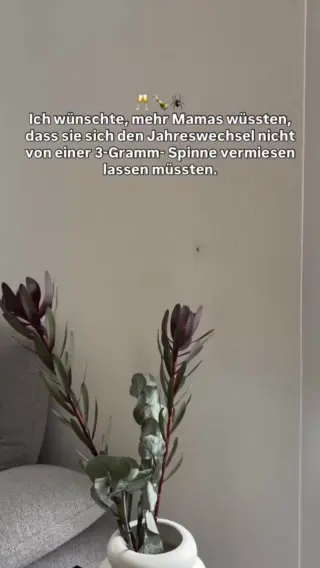 Weihnachten ist vorbei – du willst einfach nur Ruhe, ein sauberes Zuhause und ein bisschen Zeit für dich.Doch kaum hast du dich mit einem Kaffee aufs Sofa gesetzt… hockt da was Kleines in der Ecke und dein Herz macht einen Satz.Für alle, die keinen Aufriss wollen, aber auch kein schlechtes Gewissen: Mit dem LIV Insektenfänger bringst du Spinnen sicher nach draußen, ohne Panik, ohne Ekel, ohne jemanden zu verletzten.Klick auf den Link in unserer Bio und starte entspannt ins neue Jahr – mit Ruhe in deinem Zuhause und in dir. 🫶🏼#livbyneher #mamaalltag #mamatipps #achtsamkeitimalltag #spinnenretten