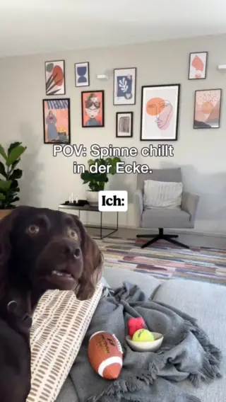 Ganz ehrlich? Ich habe genauso Respekt vor Spinnen wie meine Kinder 😅Nur dass ich zusätzlich ruhig bleiben, erklären und so tun soll, als hätte ich alles im Griff – während mein Herz kurz einen Sprint einlegt.Mama sein heißt nicht, keine Angst zu haben. Sondern trotzdem stehen zu bleiben und zu zeigen: Wir lösen das ruhig.Und wenn du keine Lust mehr hast, dich in solchen Momenten ausgeliefert zu fühlen und eine Lösung suchst, die tierfreundlich, stressfrei und alleine machbar ist, dann schau mal in unsere Bio.Dort findest du LIV – deinen stylischen Helfer für entspanntere Begegnungen mit Achtbeinern. 🤍🕷️#livbyneher #mamatipps #mamaalltag #insektenschutz #achtsamkeitimalltag