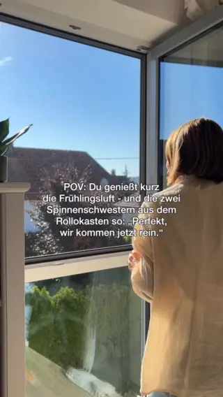 Du öffnest das Fenster, lässt die Frühlingsluft rein und genießt kurz diesen Moment von „Alles wird leichter“. 🌷Und dann betreten die zwei Spinnenschwestern aus dem Rollokasten ganz selbstverständlich das Parkett - als hätten sie gelesen, dass hier jemand wohnt, der fair spielt.Du bringst sie behutsam nach draußen und fühlst dich kurz wie die Mama-Version von „Diplomatie statt Drama“. Und während du das Fenster wieder schließt, denkst du dir: Hoffentlich erzählen sie das nicht weiter.Wenn wir ehrlich sind: Genau diese kleinen Begegnungen sind es, in denen wir unseren Kindern zeigen, wie man mit unerwarteten Gästen umgeht – ruhig, respektvoll und ohne Panik.Damit dieses kleine Frühlingsritual entspannt bleibt, nutze ich unseren LIV Insektenfänger – sanft, unkompliziert und tierfreundlich.Wenn du dein Zuhause auch lieber mit Sonne als mit Spinnenschwestern teilst, findest du LIV über den Link in unserer Bio 🤍🕷️Für mehr ruhige Lösungen im echten Mama-Alltag – folg @livbyneher #livbyneher #mamatipps #mamaalltag #insektenschutz #achtsamkeitimalltag