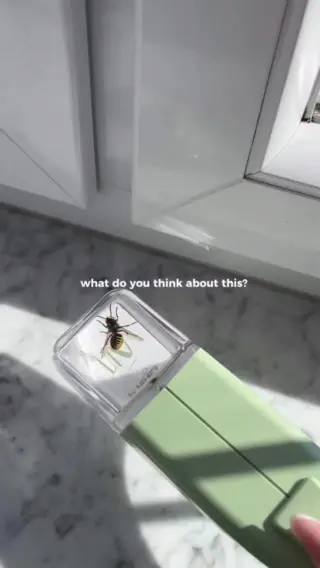 Wenn dir Achtsamkeit und ein respektvoller Umgang mit Tieren wichtig sind, ist LIV genau das Richtige: unser tierfreundlicher Insektenfänger, mit dem du Insekten sicher nach draußen bringst - ohne ihnen zu schaden.Klick auf den Link in unserer Bio und mach dein Zuhause friedlich für alle, die (vorübergehend) darin leben. 🕷️💚#livbyneher #insektenschutz #insektenfreundlich #tierfreundlich #achtsamkeitimalltag