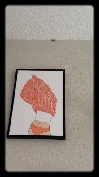 So bringst du sie nach draußen - ohne Stress für dich und ohne Risiko für sie.Du willst einfach, dass sich dein Zuhause ruhig und angenehm anfühlt.Nicht, dass plötzlich eine Spinne durchs Zimmer läuft und alles durcheinanderbringt. 😅Und genau in solchen Momenten willst du eine Lösung, die sich gut anfühlt, ohne Hektik, ohne Ekel und ohne schlechtes Gewissen.Mit dem tierfreundlichen Insektenfänger von LIV kannst du kleine Besucher ganz entspannt aufnehmen und sicher nach draußen begleiten. Kein Glas, kein Chaos, einfach ruhig gelöst und für nur 15,90€.Wenn dein Zuhause entspannt bleiben soll, auch wenn sich mal jemand hineinverirrt, folg @livbyneher für mehr alltagstaugliche Tipps mit Herz. 🕷️🤍🌿#livbyneher #insektenschutz #insektenfreundlich #tierfreundlich #achtsamkeitimalltag
