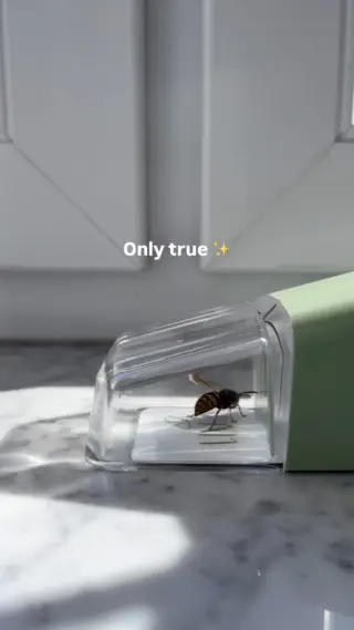 Eine Wespe reicht oft schon, damit die Stimmung sofort kippt und alle nur noch beobachten, wo sie als Nächstes hinfliegt. 😅💡 Dabei sind Wespen eigentlich viel nützlicher, als ihr Ruf vermuten lässt. Sie helfen dabei, andere Insekten im Gleichgewicht zu halten und sind ein wichtiger Teil unseres Ökosystems.Trotzdem muss sie natürlich nicht mit euch im Wohnzimmer oder am Esstisch bleiben. Mit LIV kannst du sie ruhig und unkompliziert wieder nach draußen begleiten, ohne Hektik und ohne Chaos. Den Link dafür findest du in unserer Bio.Und wenn du solche Alltagssituationen in Zukunft entspannter lösen möchtest, folg @livbyneher für mehr einfache Tipps rund um ein ruhiges, bewusstes Zuhause. 🤍#livbyneher #insektenschutz #insektenfreundlich #tierfreundlich #achtsamkeitimalltag