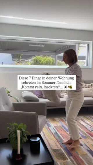 Du lüftest mehr, die Fenster sind länger offen, irgendwo steht ein Getränk oder Obst herum… und plötzlich summt oder krabbelt ständig irgendwas durchs Zuhause. 😅Die meisten denken dann sofort an mangelnde Sauberkeit, dabei sind es oft einfach typische Sommer-Dinge, die Insekten anziehen:🍉 Offenes Obst oder süße Getränke🧽 Feuchte Lappen & Schwämme🪟 Offene Fenster ohne Schutz💡 Lichtquellen am Abend🛋️ Ruhige, warme Ecken hinter Möbeln🕯️ Künstliche Duftsprays statt natürlicher Düfte🌿 Fehlende Düfte wie Lavendel oder Zitrone, die viele Insekten eher meidenDie gute Nachricht: Du musst nicht alles verändern. Oft reichen schon kleine Anpassungen, damit sich dein Zuhause deutlich ruhiger anfühlt.Und wenn sich doch mal jemand hineinverirrt, kannst du kleine Besucher mit LIV ganz entspannt und tierfreundlich wieder nach draußen begleiten.Folg @livbyneher für mehr einfache Tipps rund um entspannte Sommerabende & ein ruhiges Zuhause. 🤍#livbyneher #insektenschutz #insektenfreundlich #tierfreundlich #achtsamkeitimalltag