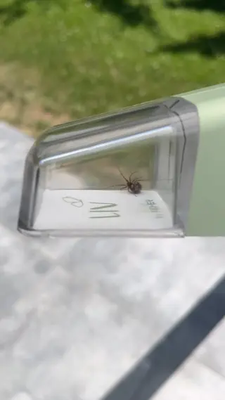 So bringst du sie raus, ohne dein Bett auseinanderzunehmen und ohne sie zu verletzen. 😅Du willst einfach nur schlafen. Frische Bettwäsche, gemütliches Licht, endlich Ruhe… Nicht mit einer Spinne im Bett, die plötzlich denkt, sie gehört jetzt auch dazu. 🕷️Und weil du sie nicht verletzen willst (aber definitiv auch nicht neben ihr schlafen möchtest), gibt’s zum Glück eine Lösung, die beides kann: Unser tierfreundlicher Insektenfänger LIV. Sicher rausbringen, ohne Glas, ohne Panik, ohne dieses hektische „Wo ist sie jetzt?!“. Für nur 15,90 €.Wenn dein Zuhause gemütlich UND stressfrei bleiben soll, folg @livbyneher für mehr alltagstaugliche Tipps mit Herz. 🤍#livbyneher #insektenschutz #insektenfreundlich #tierfreundlich #achtsamkeitimalltag