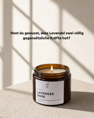 Lavendel – ein kleines Wunder der Natur. 💜Wusstest du, dass Lavendel für viele Insekten ein echtes Paradies ist und gleichzeitig andere auf natürliche Weise fernhält?🐝 Bienen, Hummeln und Schmetterlinge lieben den süßen Nektar des Lavendels. Er ist eine der wertvollsten Trachtpflanzen für Bestäuber.Doch sein ätherisches Öl wirkt auf andere Insekten ganz anders: Mücken, Stechmücken, Motten, Silberfischchen und Fliegen meiden den intensiven Lavendelduft – ganz ohne Chemie.Genau das haben wir in unserer Duftkerze „Lavender Dusk“ eingefangen: den beruhigenden Duft der Provence für dein Zuhause, für deinen Moment der Ruhe.Das steckt drin – und das macht sie besonders: 🌿 100 % pflanzliches Stearin – nachhaltig, sauber brennend, paraffinfreirei ⏱️ Lange Brenndauer von ca. 36–40 Stunden 🏡 Geeignet für drinnen & draußen – mit natürlichem Mückenabwehr-Effekt 🫙 Zeitloses Design im Bernsteinglas – ein echter Hingucker und tolles Geschenk ♻️ Nachhaltig bis zum Schluss – das Glas lässt sich wunderbar weiterverwenden👉 Jetzt im Shop entdecken – Link in der Bio.#livbyneher #neherinsektenschutz #lavendel #lavendelduft #duftkerze