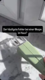 Der häufigste Fehler bei einer Wespe im Haus? Sofort hektisch werden.Dabei geht es auch ganz ruhig: mit LIV lässt sich die Wespe aufnehmen und wieder nach draußen begleiten, ohne Hektik und ohne ihr zu schaden.Gerade im Spätsommer sind Wespen häufiger unterwegs. Umso besser, wenn man eine schnelle Lösung hat.Speichere dir diesen Tipp für den nächsten Wespenbesuch und entdecke unseren Insektenfänger über den Link in der Bio.#livbyneher #neherinsektenschutz #insektenschutz #wespen #familienalltag