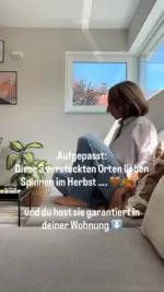 🕷️ Kurz nicht hingeschaut – und zack, sitzt sie da.Im Bad, hinterm Vorhang oder direkt in deiner Deko-Schale auf der Fensterbank.Spinnen lieben es warm, ruhig und ungestört und genau deshalb finden sie im Herbst perfekte Verstecke.Diese 3 Orte solltest du jetzt im Blick behalten:1. Ecken hinter Gardinen oder Vorhängen2. Warme Zimmerecken mit Heizung3. Deko-Nischen auf Fensterbänken oder RegalenWenn du sie nicht erschrecken (und selbst keine Gänsehaut bekommen) willst, hilft ein entspannter Umgang – ganz ohne Panik oder erst auf deinen Mann zu warten. 😉Mit unserem tierfreundlichen LIV Insektenfänger bringst du Spinnen stressfrei und ohne schlechtes Gewissen wieder nach draußen – sicher, sauber und ohne ihnen zu Nahe zu kommen.Klick auf den Link in unserer Bio und mach‘s dir ab sofort leichter. #livbyneher #spinnenzeit #herbstvibes #insektenfrei #neherinsektenschutz
